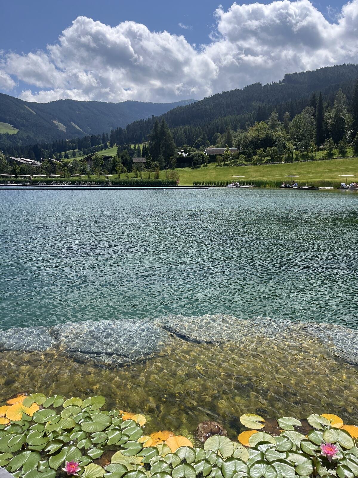 The bathing lake — 5,500 m² of it, with water lilies at the near edge — Hotel Krallerhof